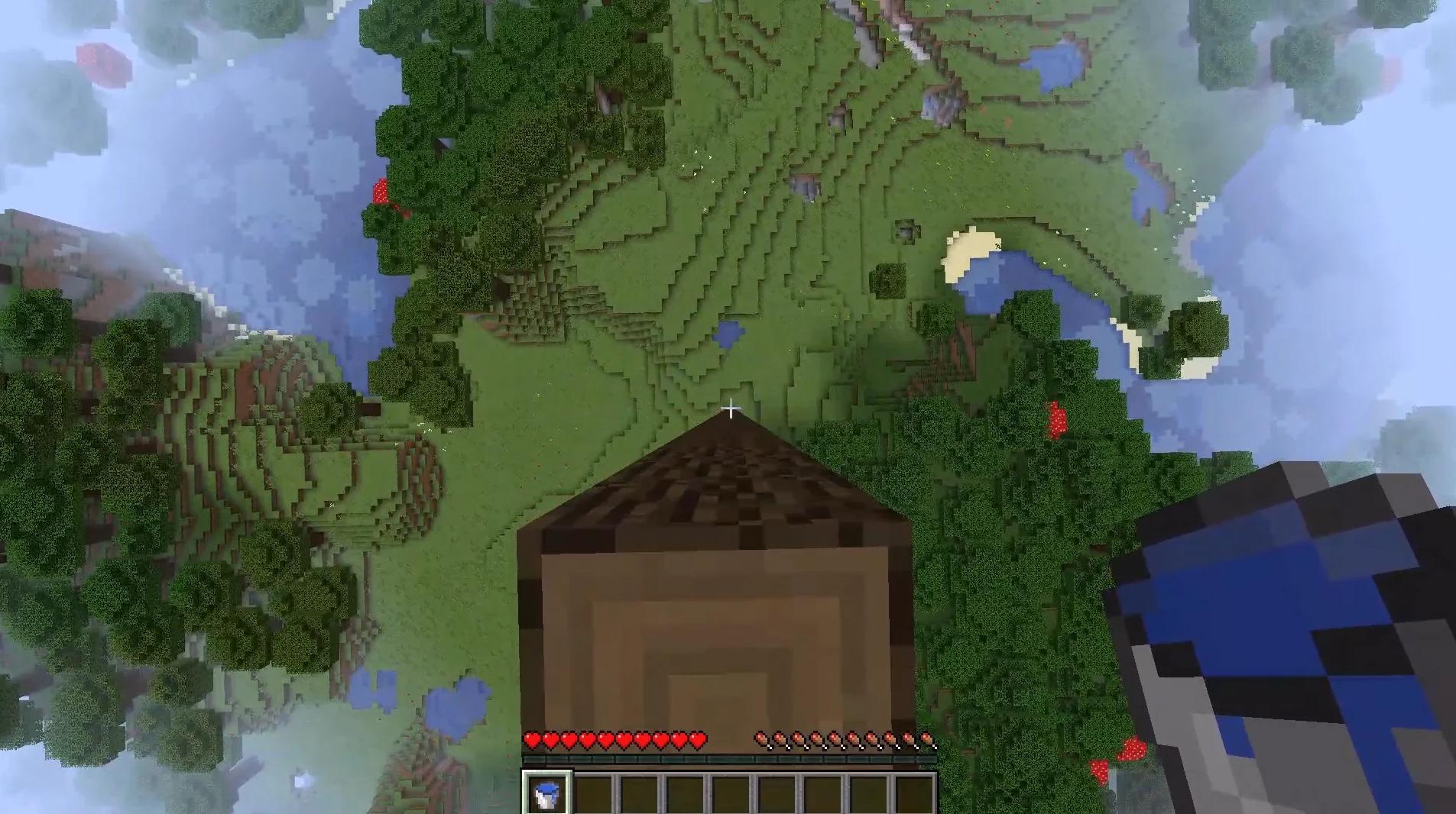 Skyfall Survivor.jpeg